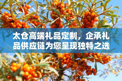 太仓高端礼品定制，企承礼品供应链为您呈现独特之选