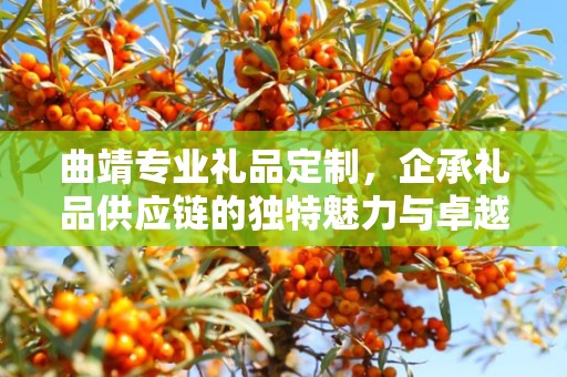 曲靖专业礼品定制，企承礼品供应链的独特魅力与卓越服务