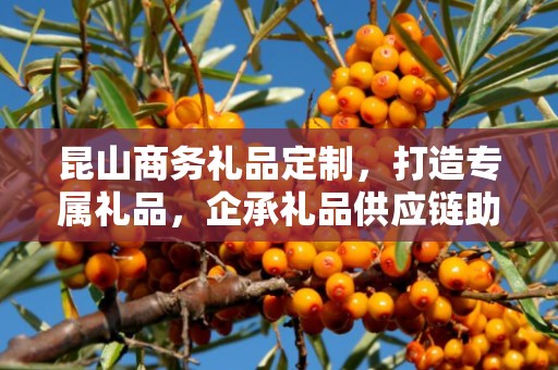 昆山商务礼品定制，打造专属礼品，企承礼品供应链助力商务往来