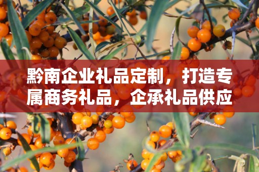 黔南企业礼品定制，打造专属商务礼品，企承礼品供应链为您助力