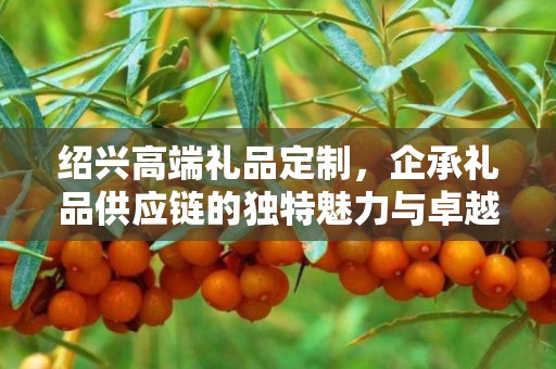 绍兴高端礼品定制，企承礼品供应链的独特魅力与卓越服务