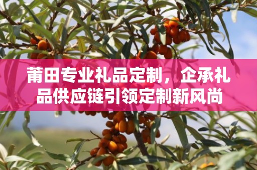 莆田专业礼品定制，企承礼品供应链引领定制新风尚
