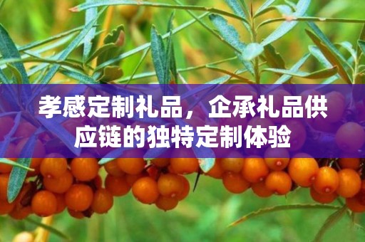 孝感定制礼品，企承礼品供应链的独特定制体验