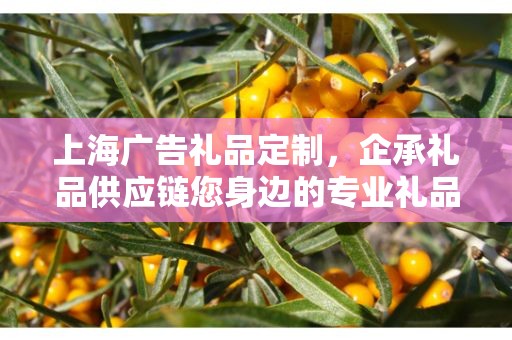 上海广告礼品定制，企承礼品供应链您身边的专业礼品定制公司