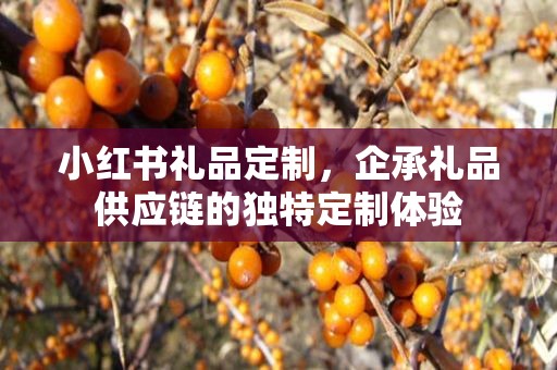 小红书礼品定制，企承礼品供应链的独特定制体验